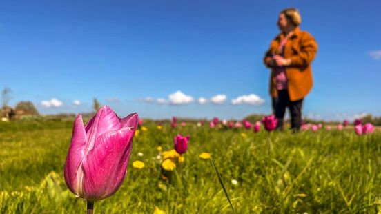 Robin werd misbruikt door haar begeleider in Emergis: 'Hij had de woeste blik van een roofdier' Nieuws