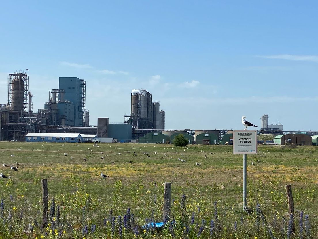 Verboden terrein voor de vos