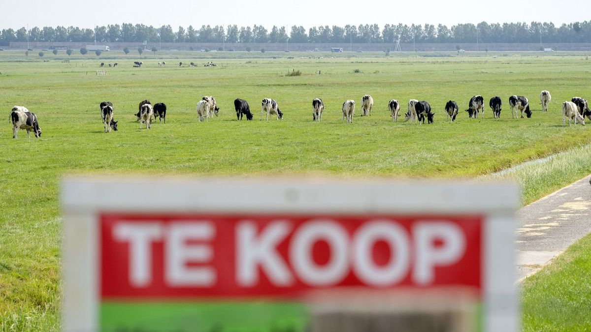 Vermilion kocht stikstofruimte rond Wapse om te boren en kan dat zomaar weer doen