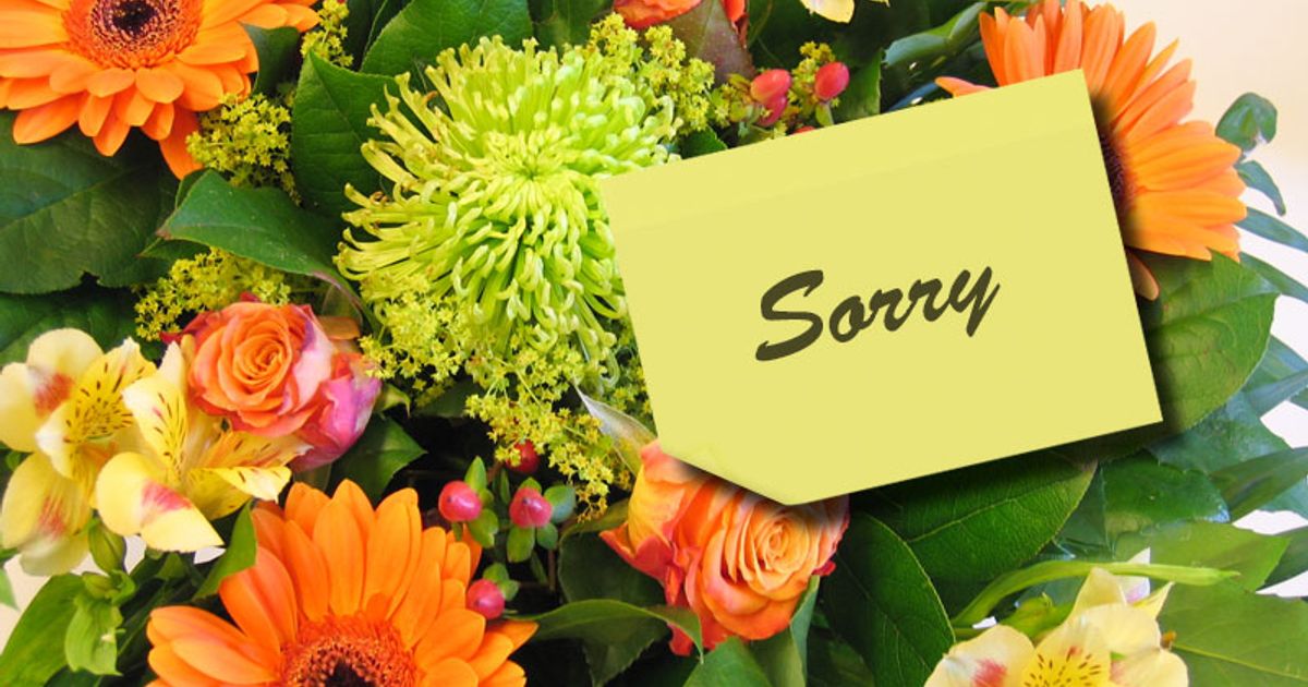 Waarom is sorry zeggen zo moeilijk? - Rijnmond