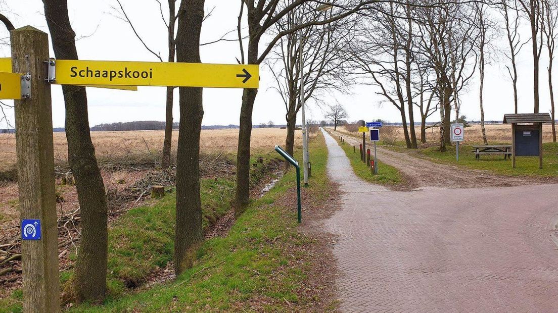 Zaterdag was het druk bij de schaapskooi in Ruinen (Rechten: Persbureau Meter)