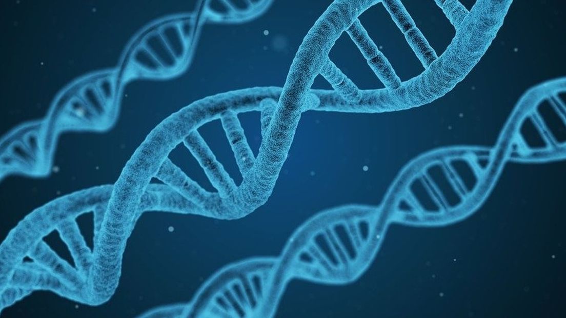 Een nieuwe onderzoeksmethode zou verschillen in het DNA van tweelingen kunnen ontdekken (Rechten: Pixabay)