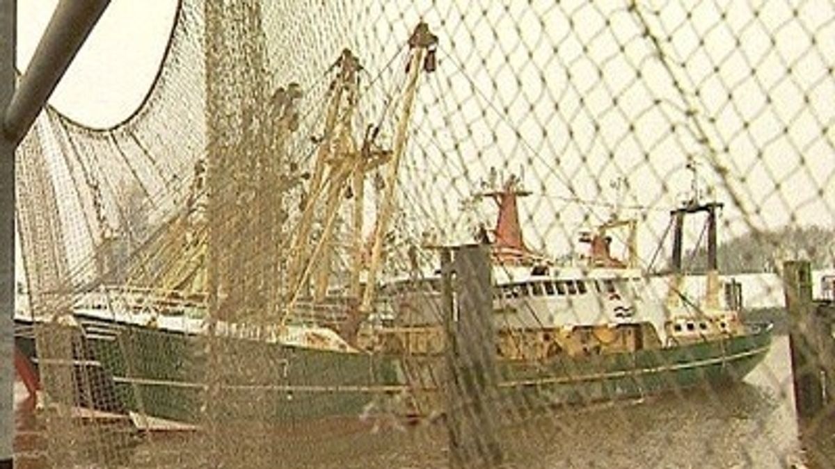 Garnalenvissers hangen boot aan de wilgen - RTV Noord