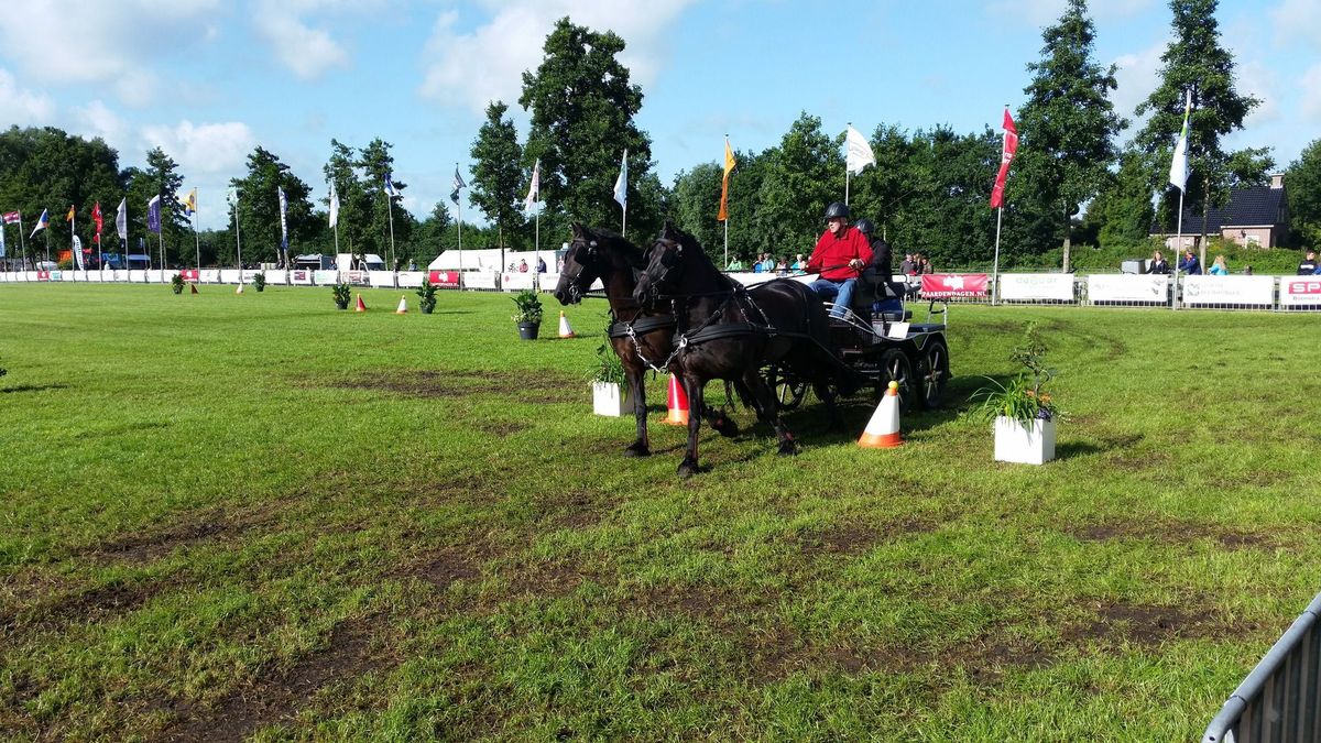 VIDEO: Dertigste Paardendagen in Driezum