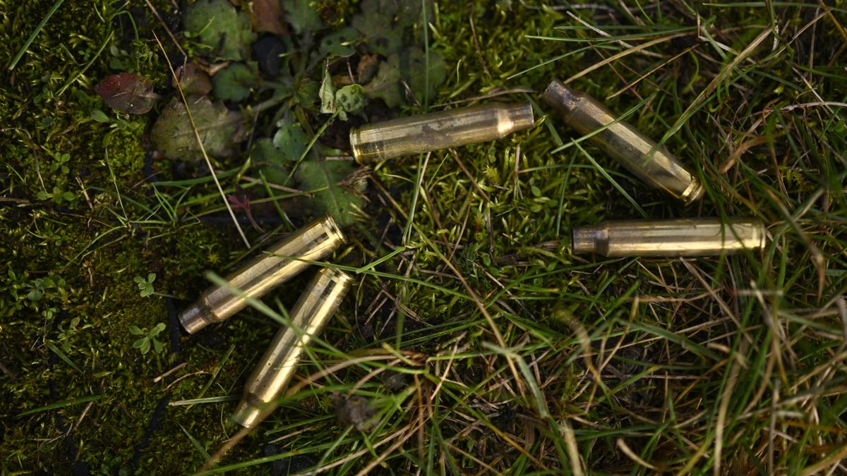 Geen kaas maar kogels; bunkercomplex bij Daarle krijgt waarschijnlijk andere functie