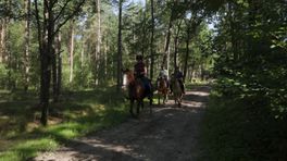 Doek valt voor paardenvierdaagse Zorgvlied