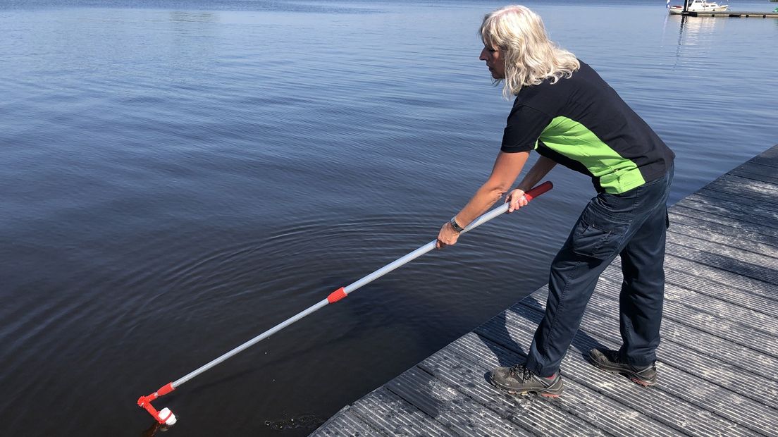Zomer 2019: Waterschap Hunze en Aa's neemt monsters om te testen op blauwalg