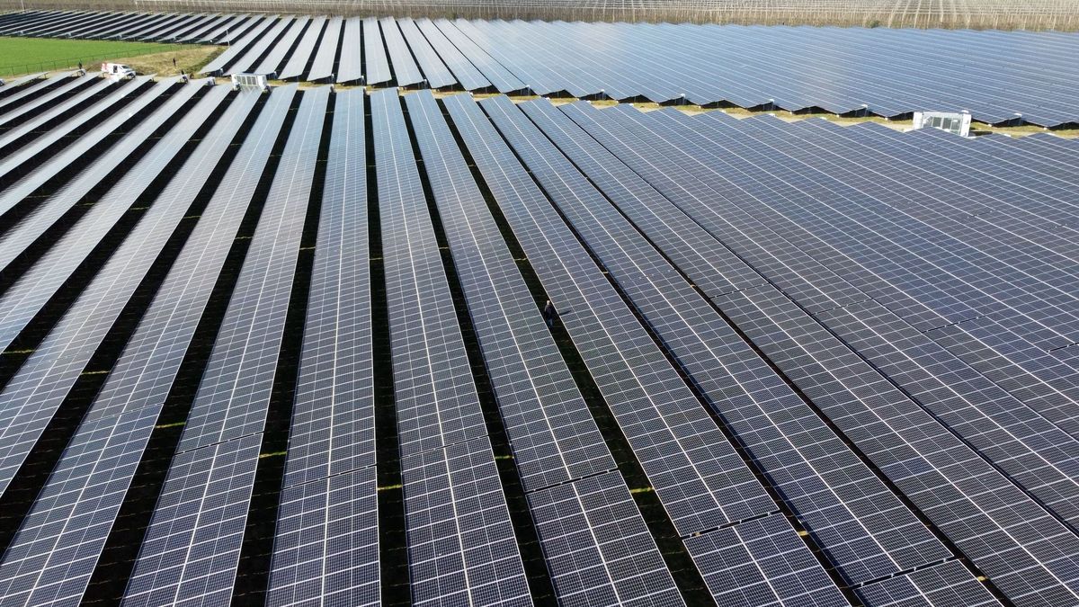 Groenekan krijgt zonneveld van 17 hectare bij Voordaan