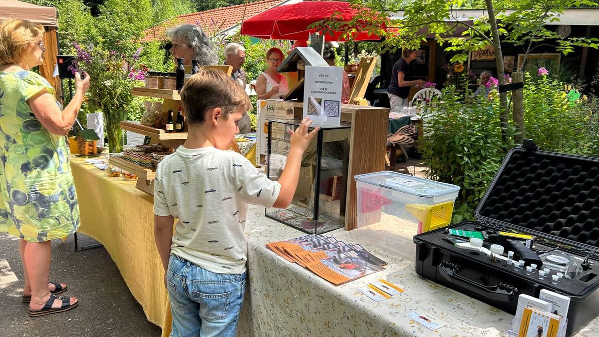 Waarschuwen voor gevaar Aziatische hoornaar: 'Eet kilo's insecten per jaar'