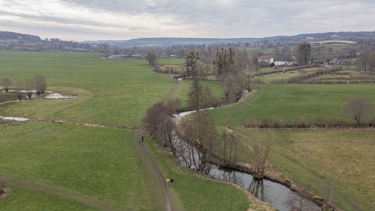 Natuurmonumenten voorkomt snelle afvoer regenwater Geuldal