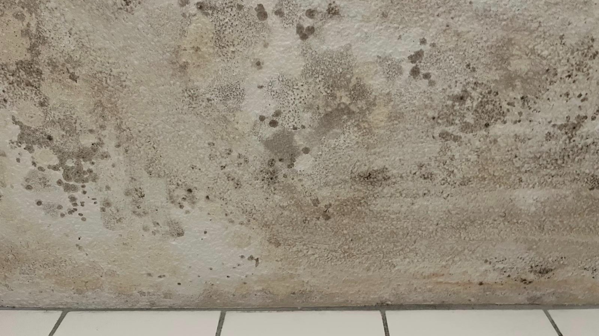 Schimmel in de badkamer van Dirk Westerduin