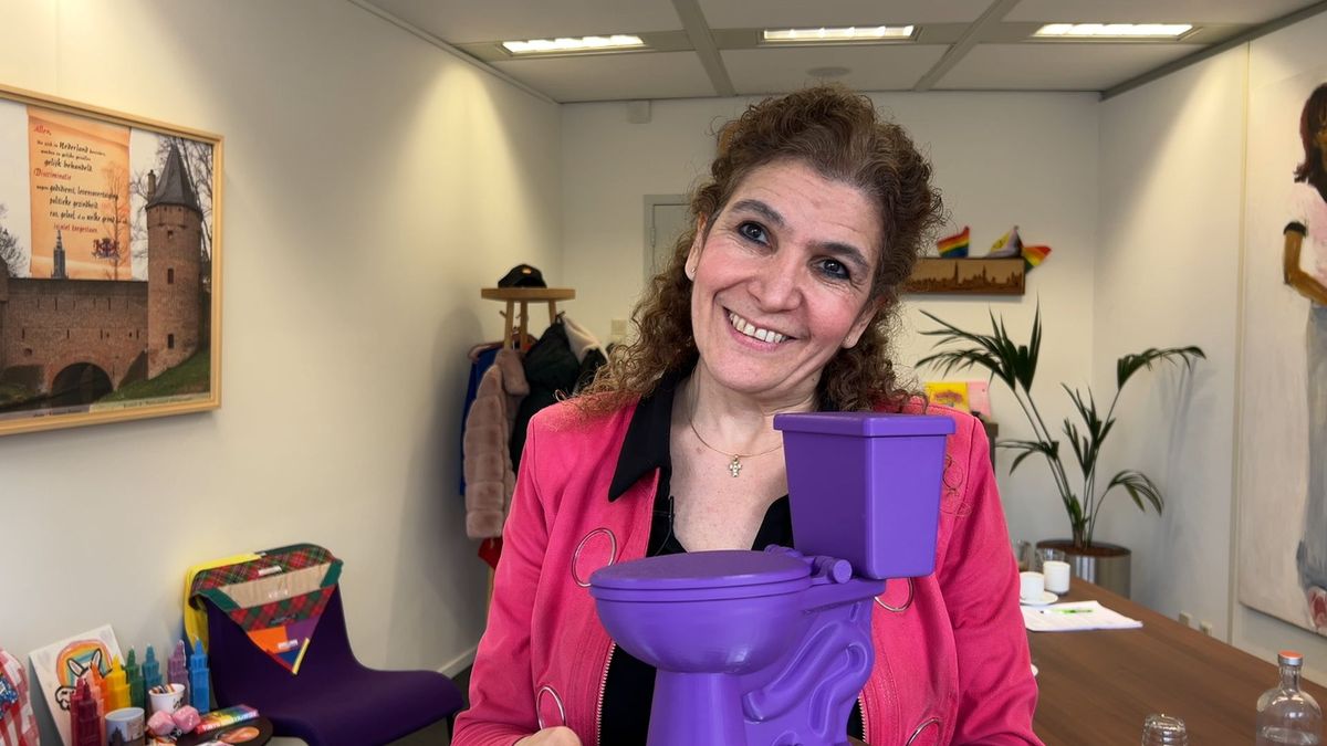Dit is de 'wc-hoofdstad' van Nederland: 'Wij willen in elke wijk minstens één openbare wc'