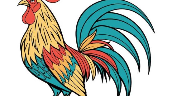 Wie heeft de single Henkie Onze Haan?