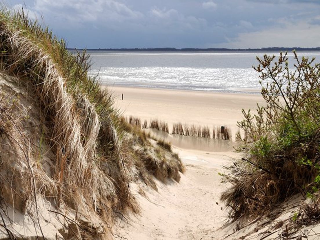 De duinen van Oostvoorne