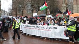 Weer grote Pro-Palestina-demonstratie in hartje Arnhem