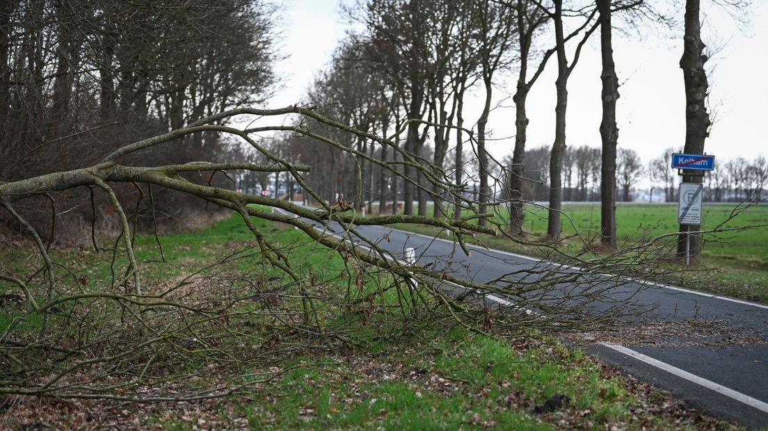 Een omgewaaide boom ligt deels op de N387 in Kolham