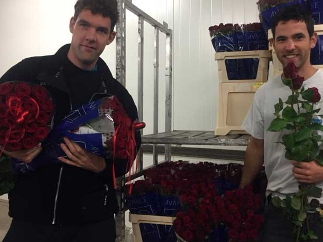 Het zijn drukke dagen voor rozenkwekers Robin (links) en zijn broer Bart van der Meijs