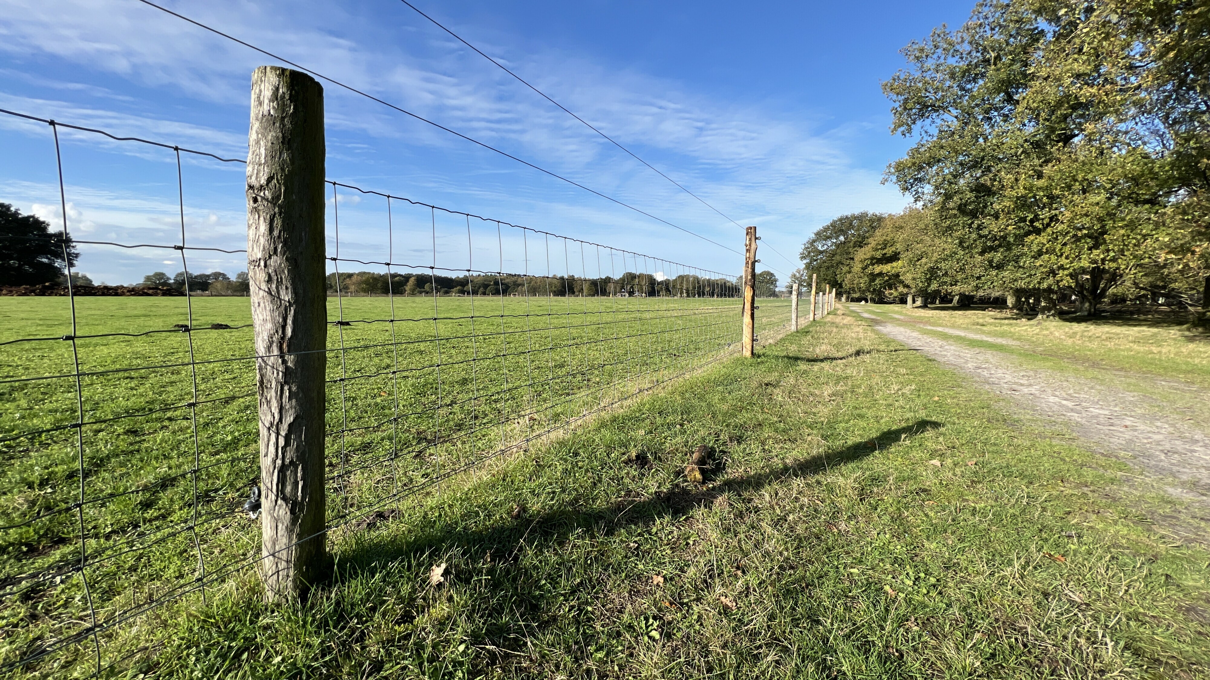 Subsidie wolvenraster populair, provincie trekt meer geld uit