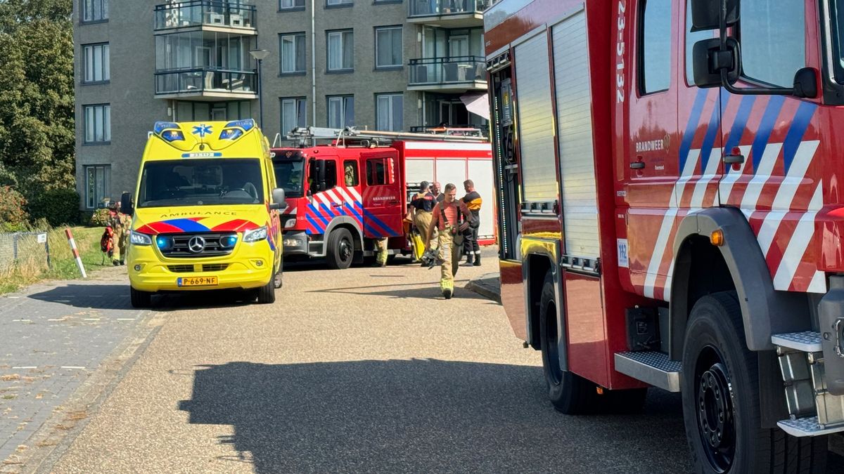 Vrouw valt in het water bij uitstappen van boot in Linne