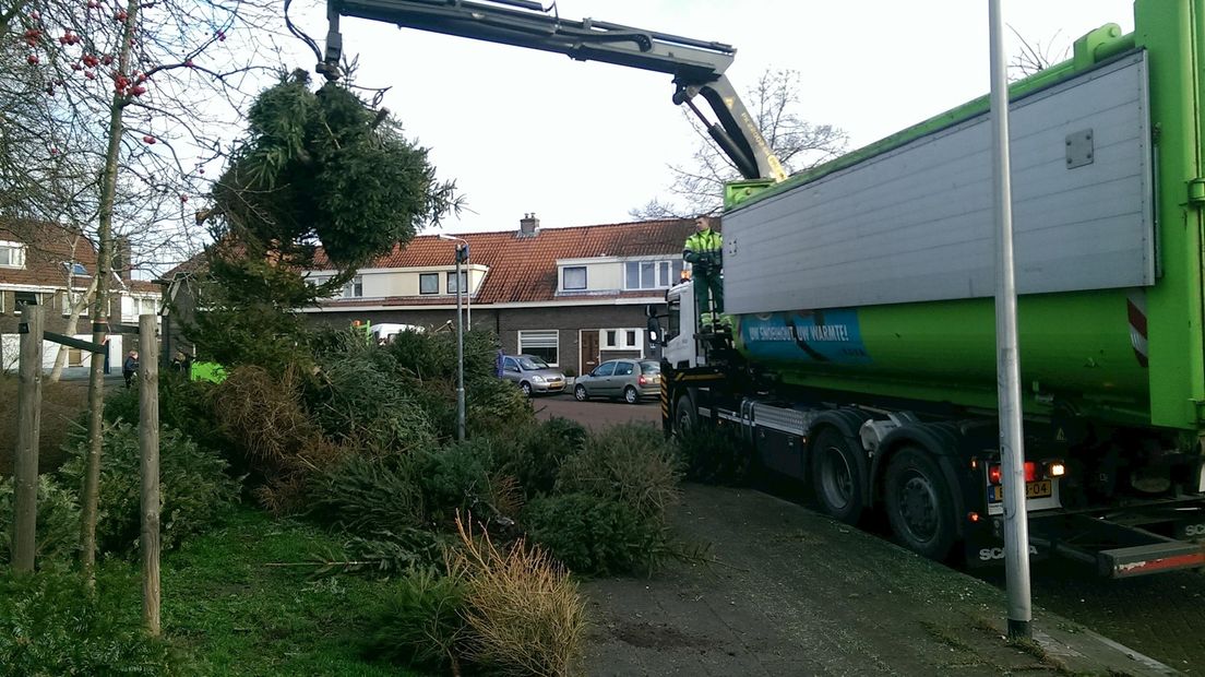 Rova voert de kerstbomen in Zwolle af