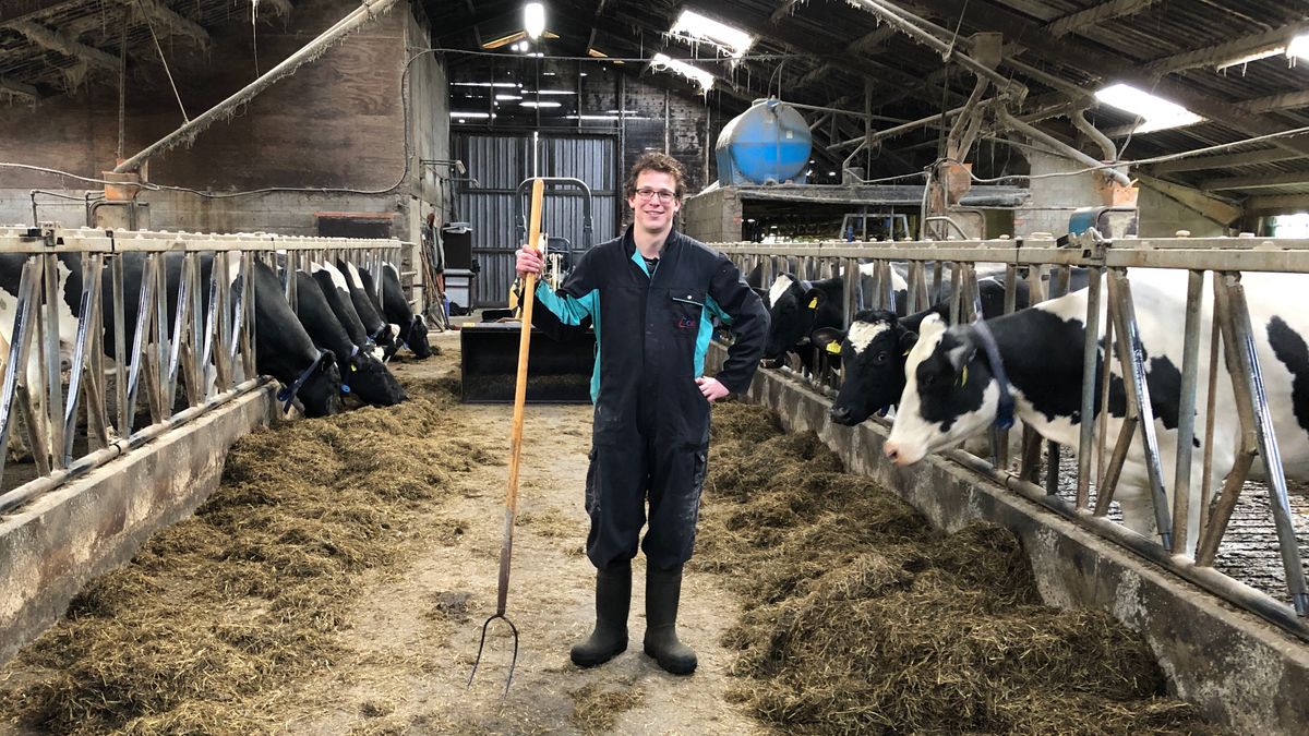 Boer Nico uit Ottoland zoekt vrouw: 'Koffiezetten kan ik wel, koken niet'
