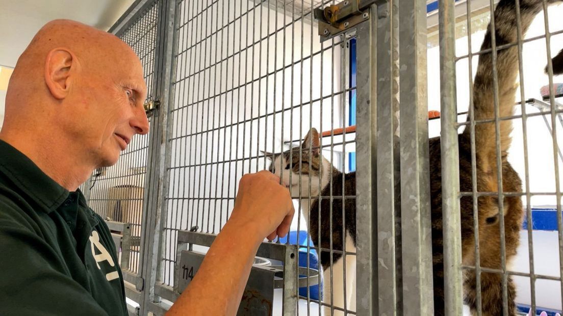 Kees Keet, de manager van het dierentehuis.