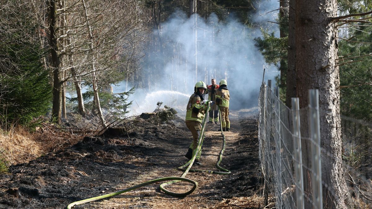 Natuurbrand in bosperceel in Oranjewoud