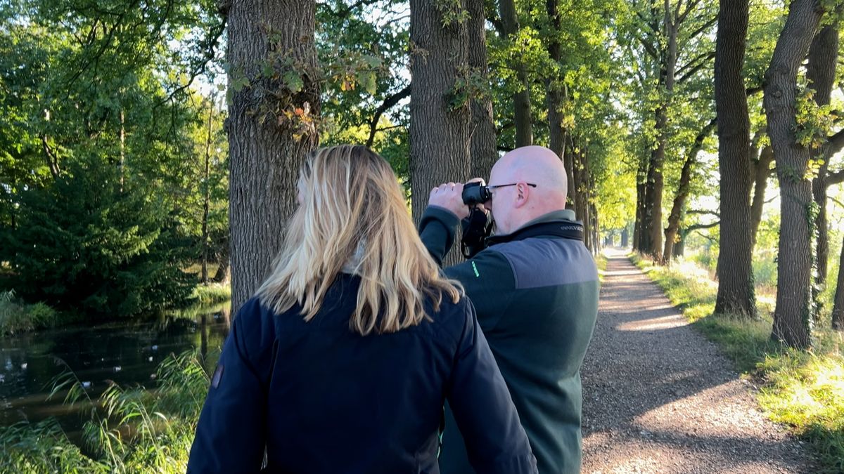 Afschieten of weren? Hoe kunnen we leven met de bever?