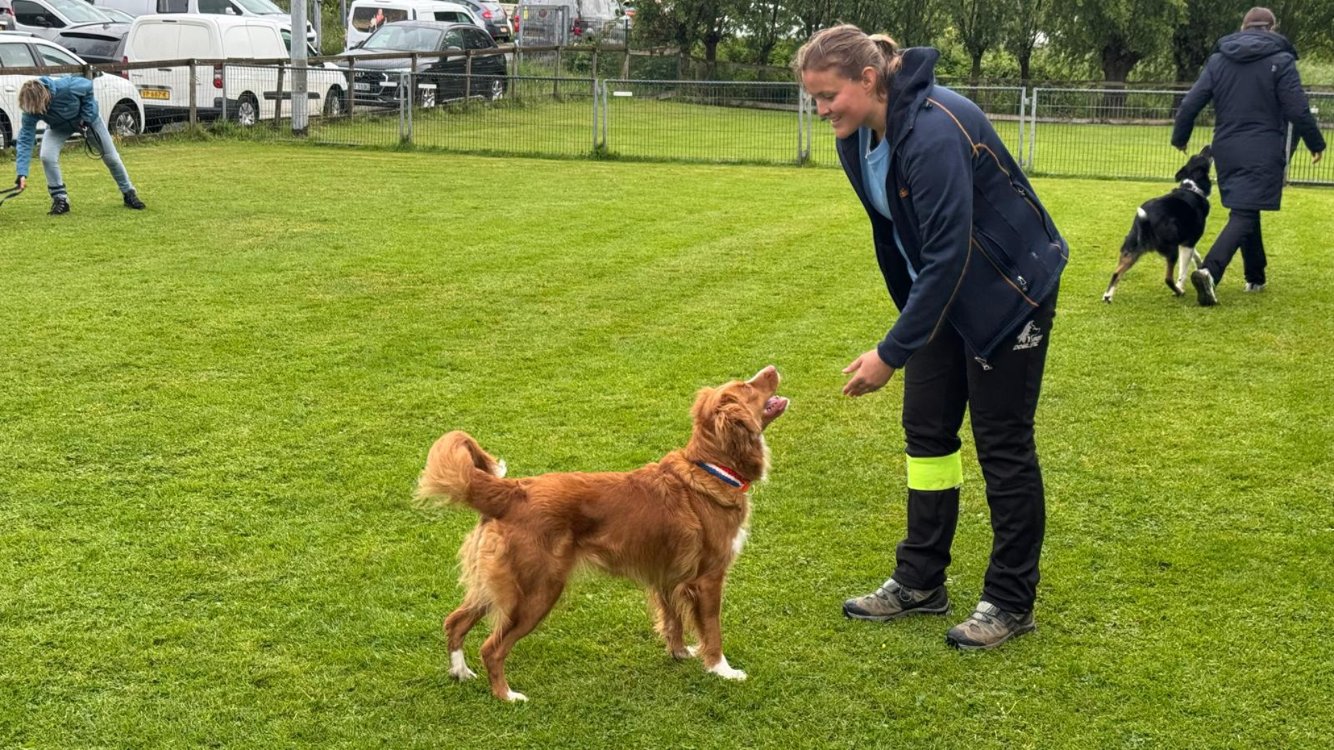 Gespitste oren en strakke commando's op NK voor de meest gehoorzame honden