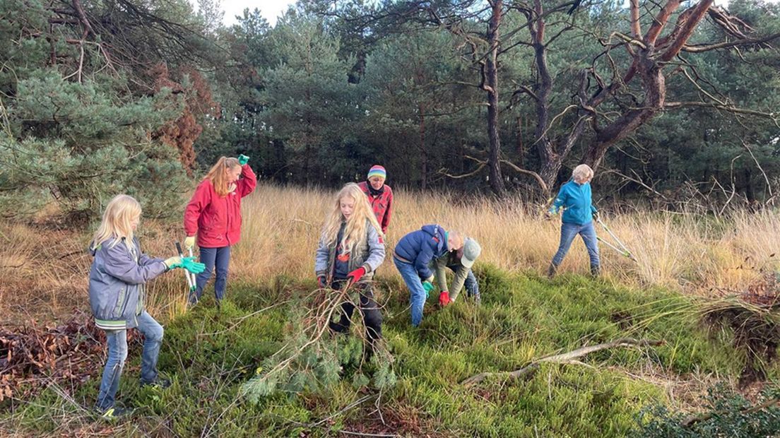 Kinderen van scholen in Uffelte en Wapserveen helpen Vogelwacht Uffelte e.o. bij het opschonen van de heide