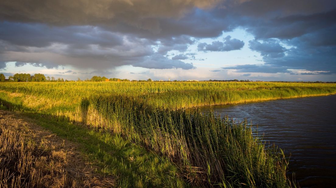 Natuurgebied Cleene Hooge bij Middelburg