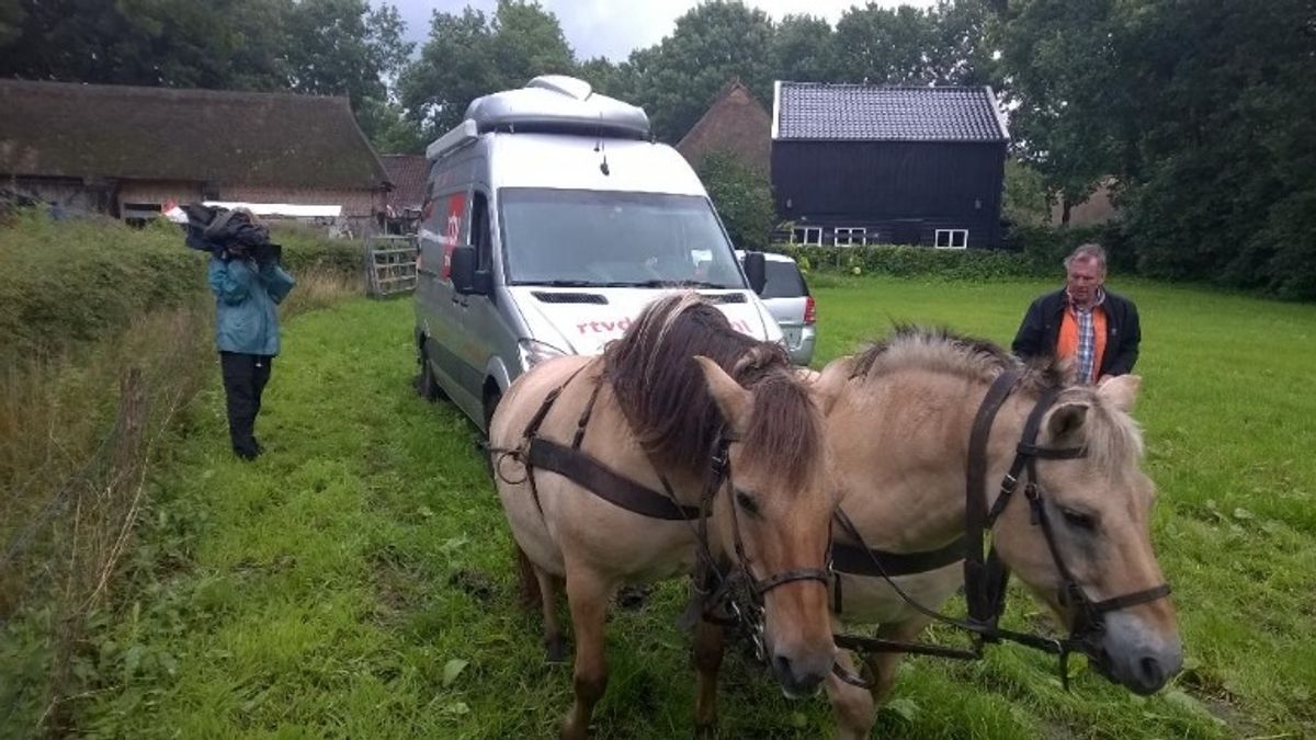 Paarden trekken satellietwagen van RTV Drenthe uit de modder