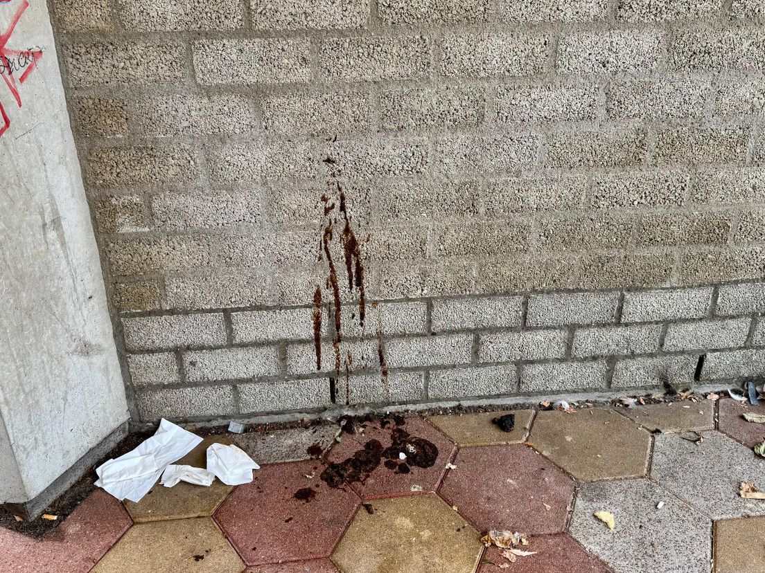 Op sommige plekken bij de Kubuswoningen komt alles samen: poep, graffiti en afval.