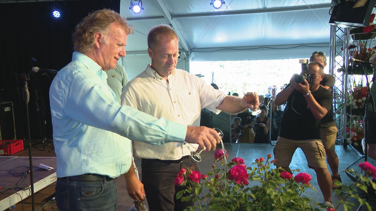 Lottum eert André Rieu met eigen roos