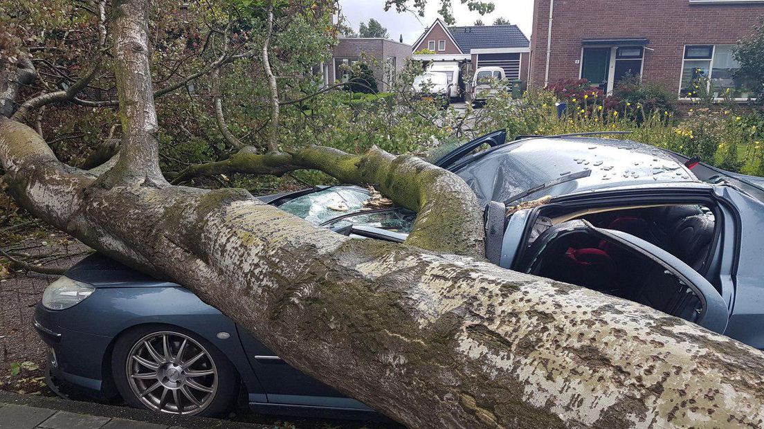 In Klazienaveen belandde een boom op een auto (Rechten: persbureau Meter)