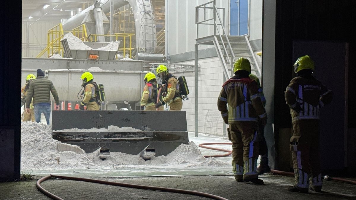 Brand bij recyclingbedrijf in Kelpen-Oler