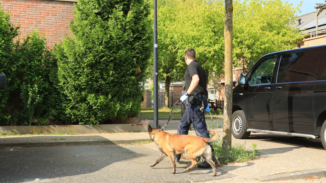 Bij de actie werd ook een hond ingezet