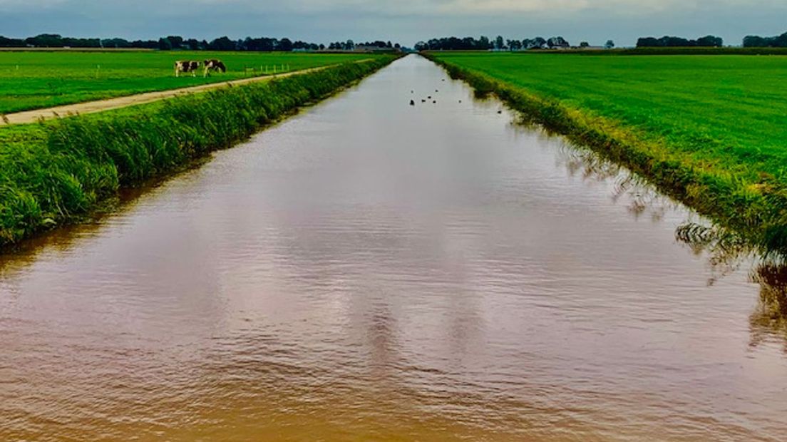 Polder rond Scheerwolde