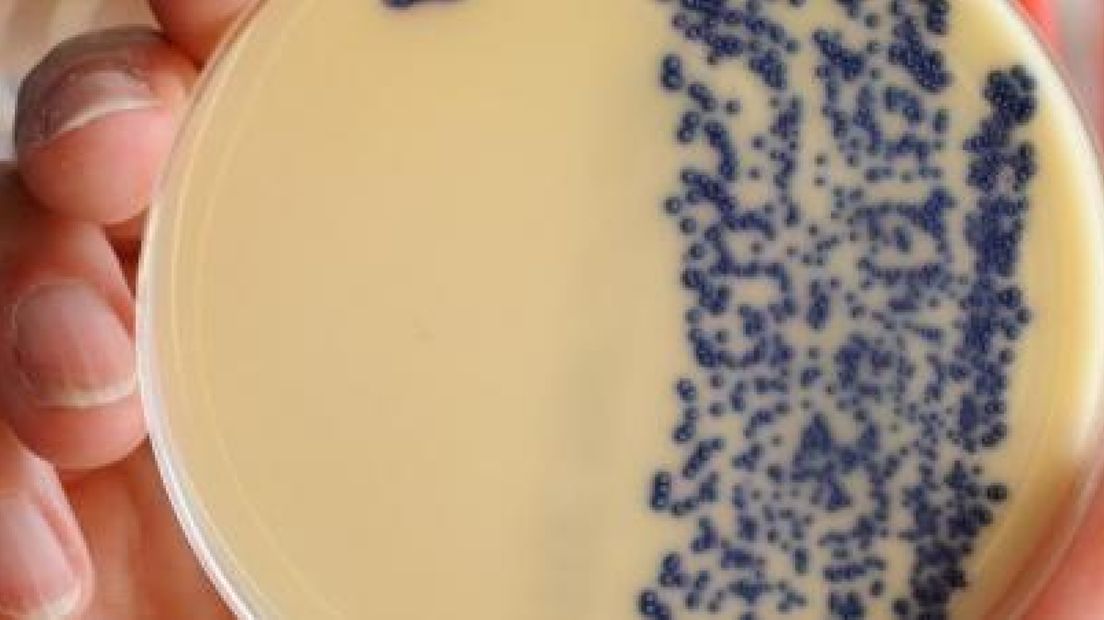 CWZ: nieuwe besmettingsgevallen VRE-bacterie