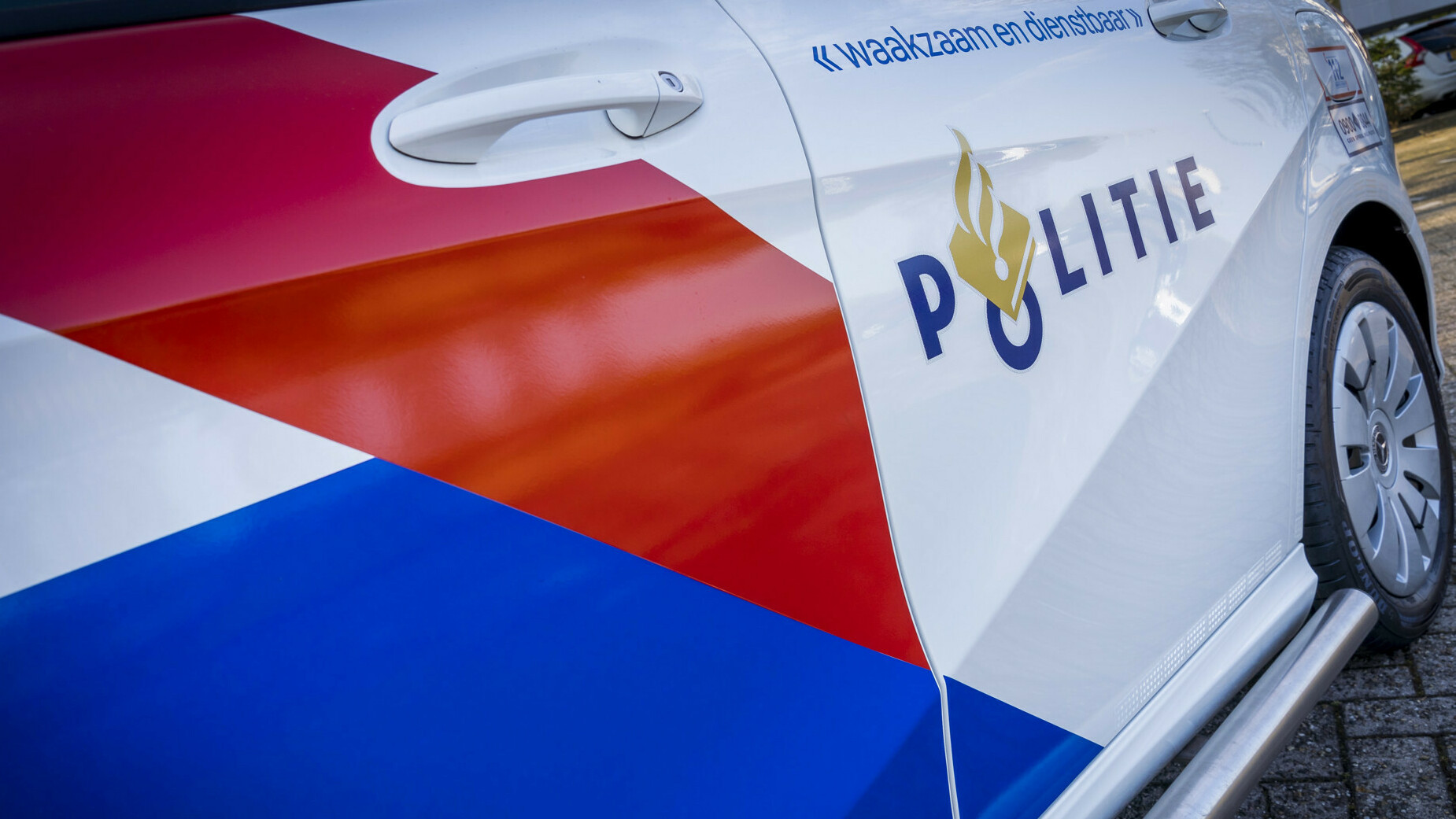 Politie neemt 25 verwaarloosde katten in beslag in Hansweert