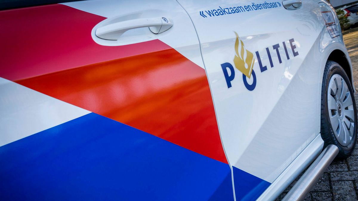 Politie neemt 25 verwaarloosde katten in beslag in Hansweert