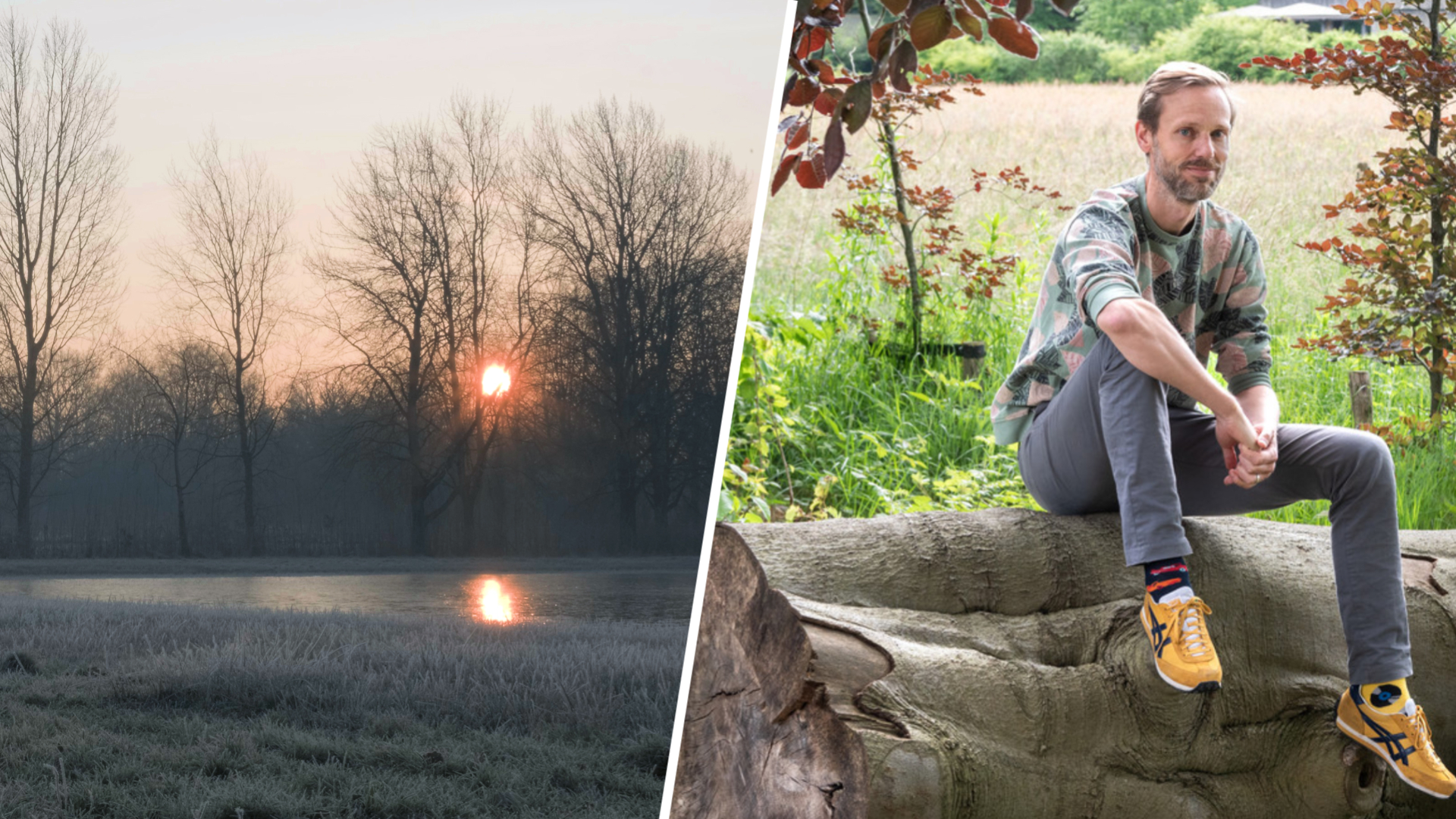 Filmmakers maken jaar lang opnames in Amersfoorts park: 'Net een natuurgebied'