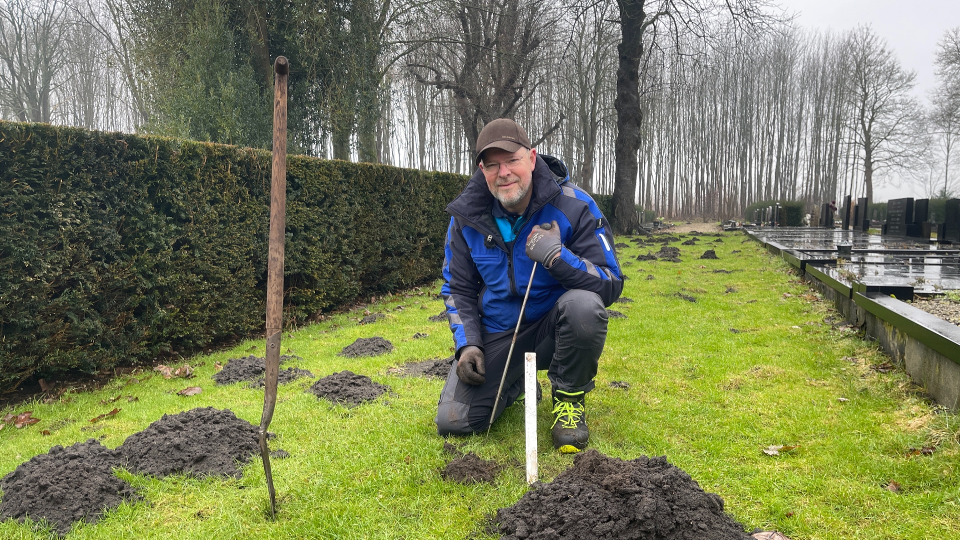 Begraafplaats Stadskanaal krijgt bezoek van graafgrage mollen: 'En dat wil je liever niet'