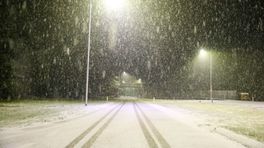 Sneeuw op komst: 'Op Veluwe 8 centimeter'
