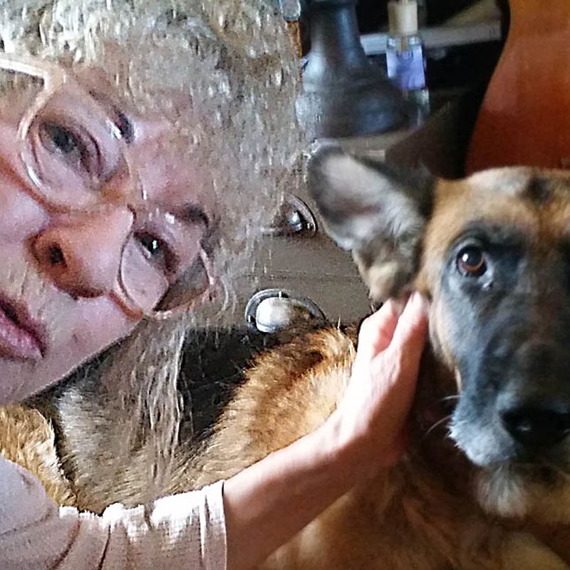 Stichting Mens en Dier start inzamelingsactie voor crematie hond, na babbeltruc Delfts echtpaar