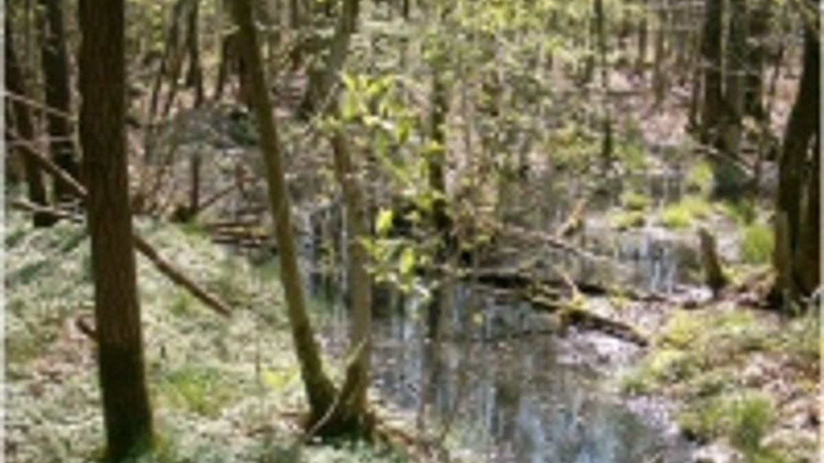 Kleibosch gaat op de schop