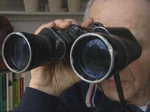 Huismus Blijft Meest Getelde Vogel - Rijnmond