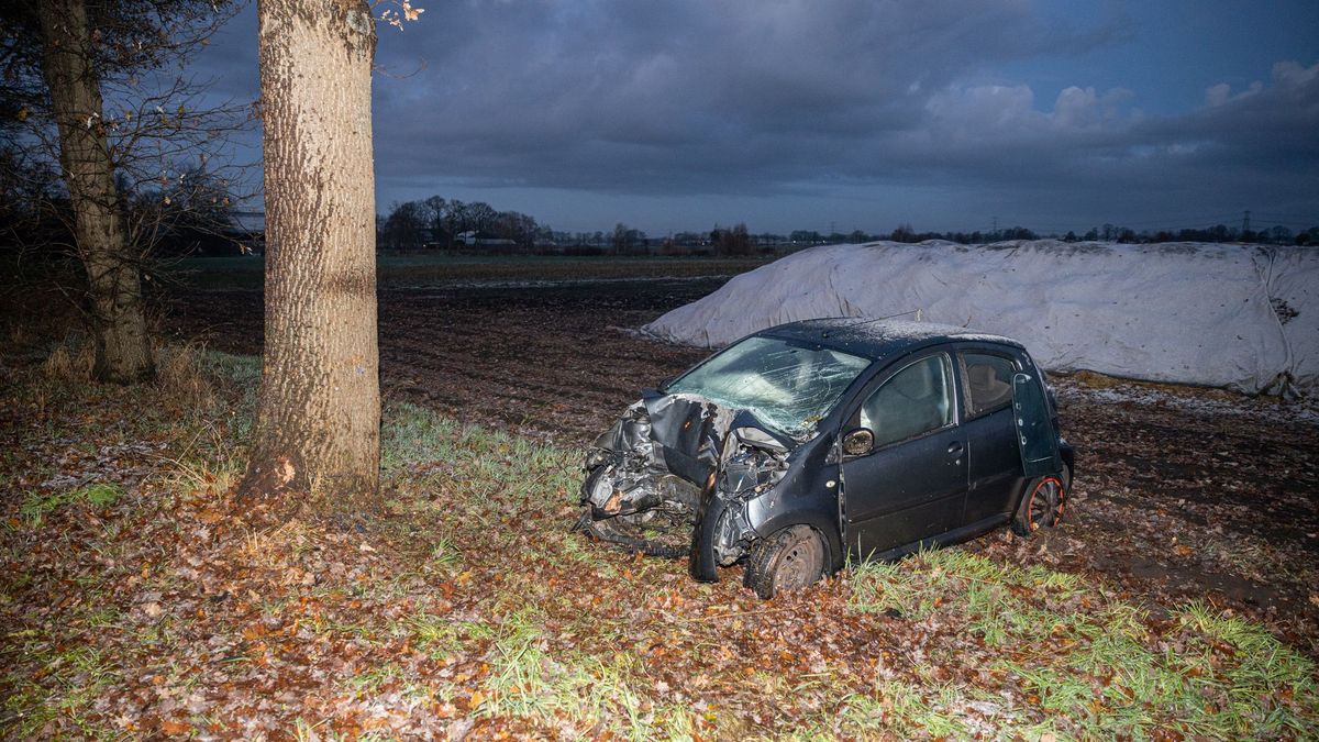 Auto botst tegen boom, bestuurder ligt lange tijd gewond op akker in Witharen