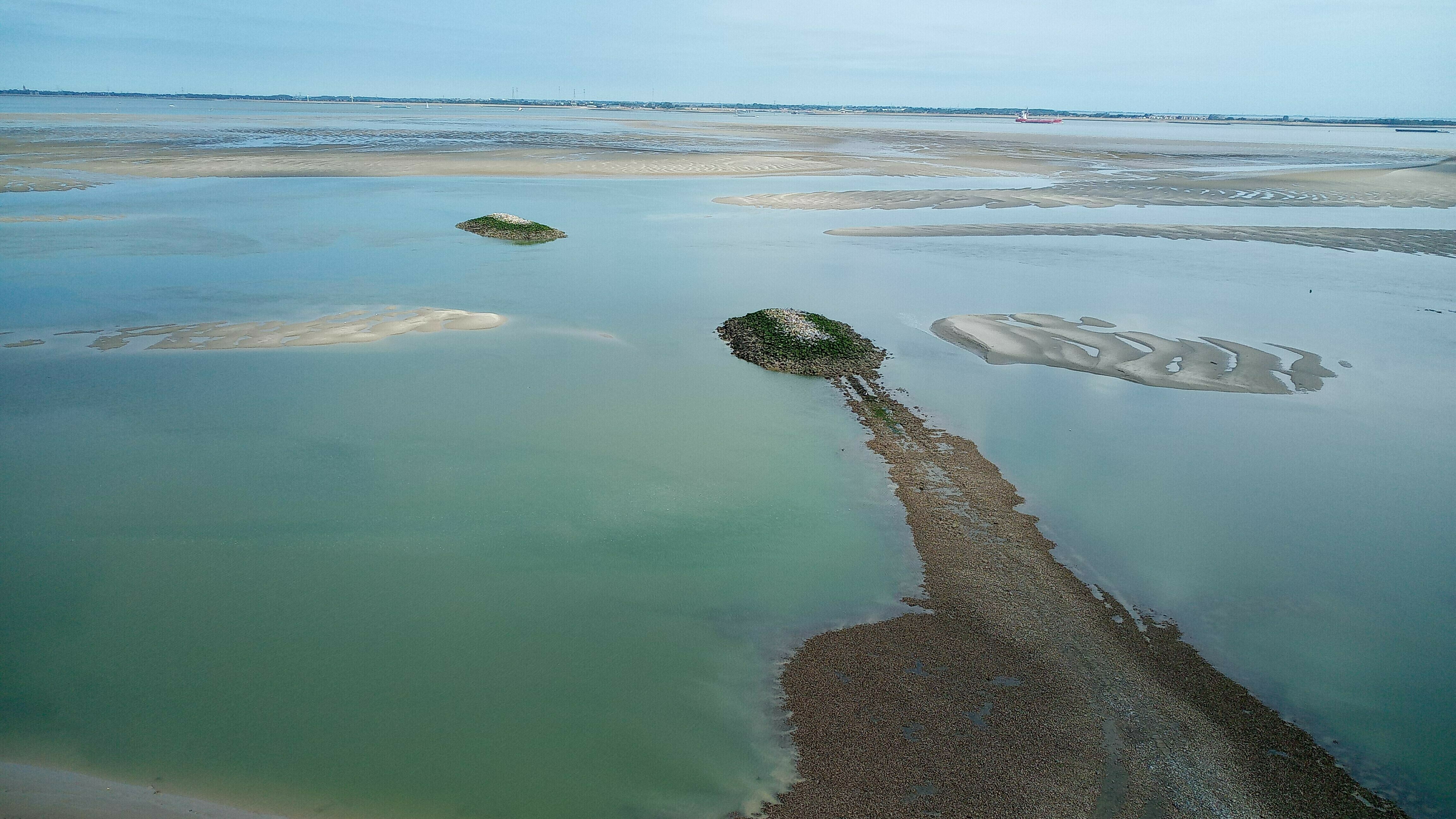 RIVM start onderzoek gezondheidseffecten PFAS bij omwonenden Westerschelde