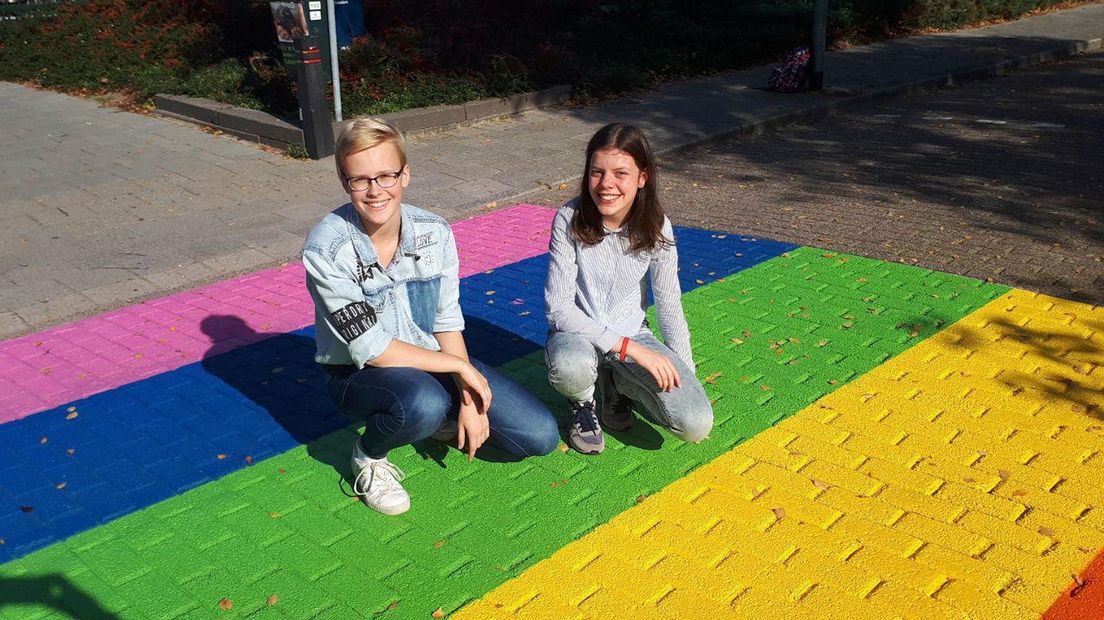 Rinke en Sophie op het regenboogzebrapad